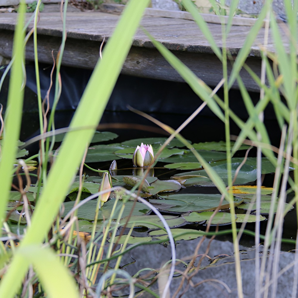 Landhof Hagspiel Rieggis im Allgäu